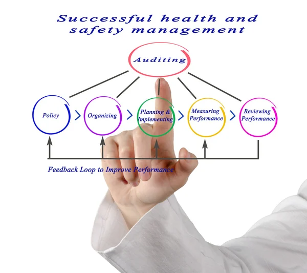 Diagrama de gestão bem sucedida da saúde e segurança — Fotografia de Stock
