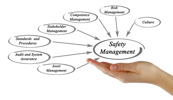 Diagram van de veiligheid van het beheer — Stockfoto