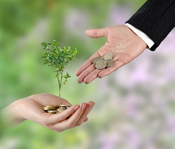 Investing to green business — Stock Photo, Image