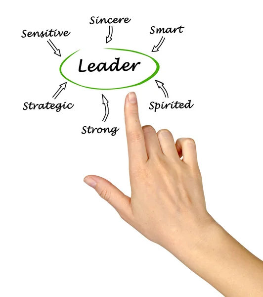 Diagram of Traits of successful leader — Stock Photo, Image