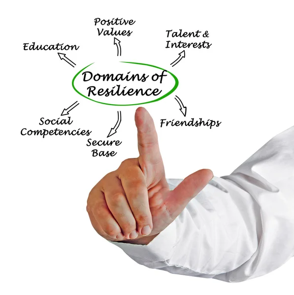 Diagrama de dominios de resiliencia — Foto de Stock