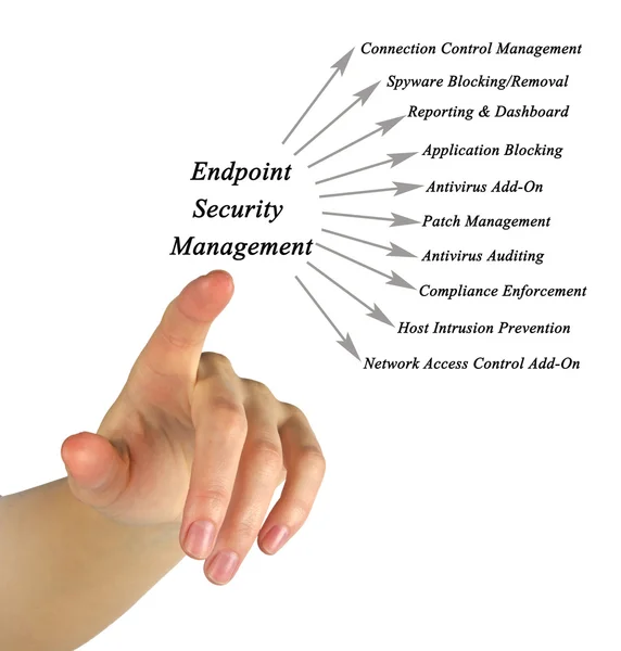 Diagramm des Endpunkts Sicherheitsmanagement — Stockfoto