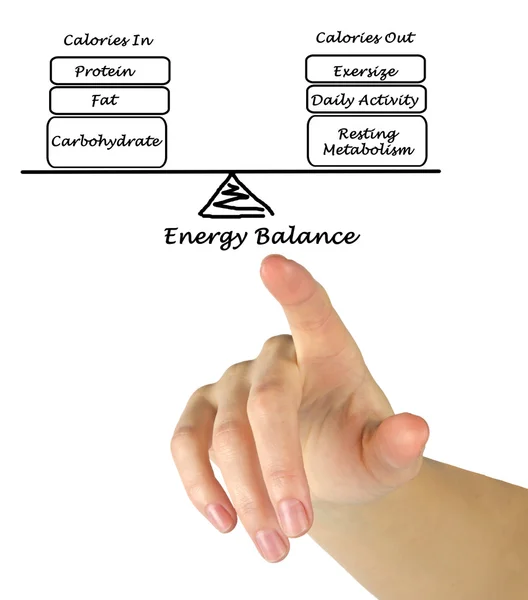 Balance between Energy intake and Energy expenditure — Stock Photo, Image