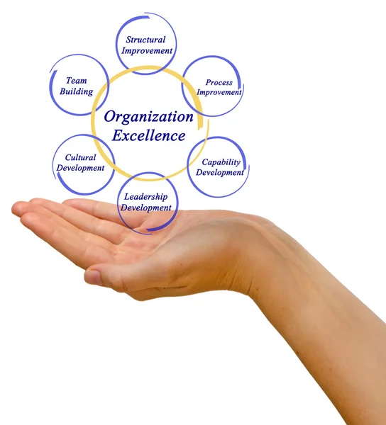 Diagram van organisatie Excellence — Stockfoto