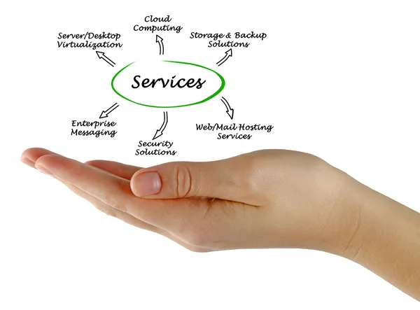 Diagram of IT  Services — Stock Photo, Image