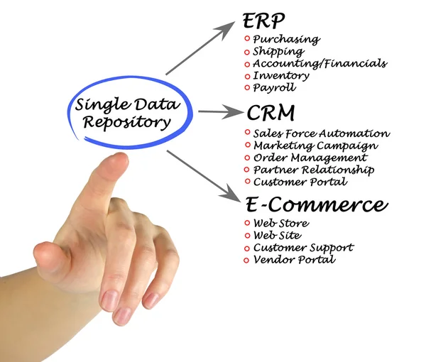 Diagram of Single Data Repository — Stock Photo, Image