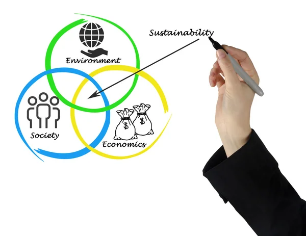 Presentación del diagrama de sostenibilidad — Foto de Stock