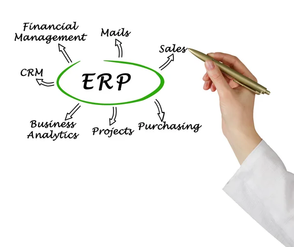 图的 Erp 的演示文稿 — 图库照片