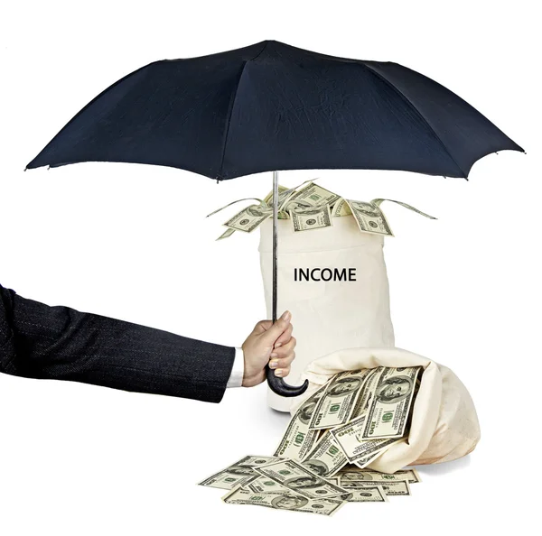 Bags with income under umbrella — Stock Photo, Image