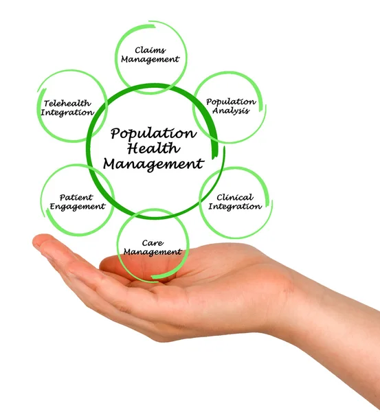 A diagram of Population Health Management — Stock Photo, Image