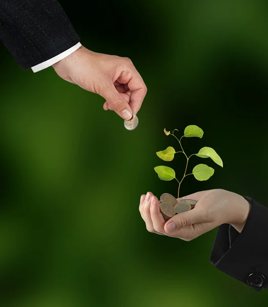 Investing to green business — Stock Photo, Image