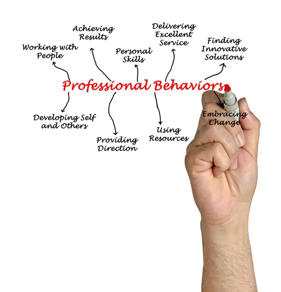 Bir diyagramı profesyonel davranışları