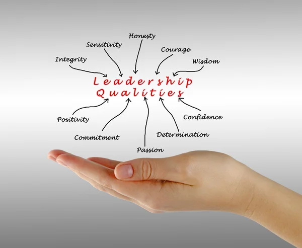 Diagram of leadership qualities — Stock Photo, Image