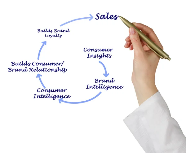 Drawing of Diagram of sales — Stock Photo, Image