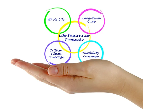 A diagram of Life Insurance Products — Stock Photo, Image