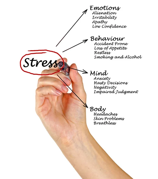 Schéma des conséquences du stress — Photo