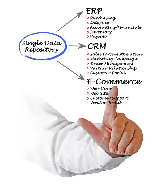 Ett diagram över enda datalager — Stockfoto