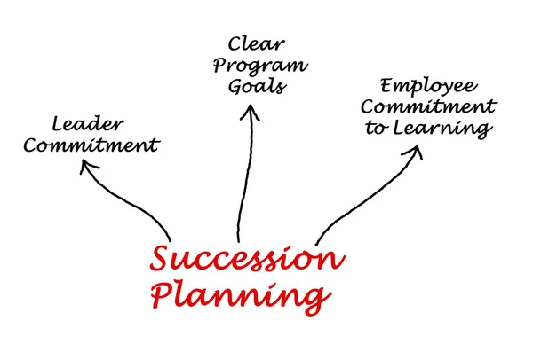 Un diagrama de planificación de sucesión — Foto de Stock