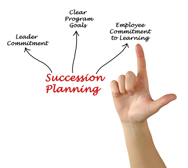 A diagram of Succession Planning — Stock Photo, Image