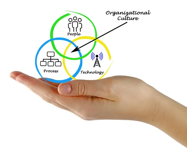 Diagram över organisationskulturen — Stockfoto