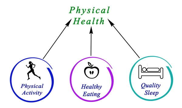 Diagram fyzické zdraví — Stock fotografie