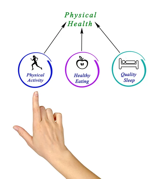 Diagram van de fysieke gezondheid — Stockfoto