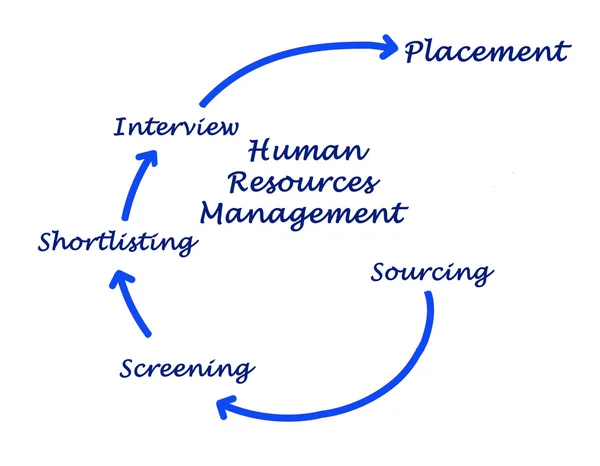 Diagramm des Personalmanagements — Stockfoto
