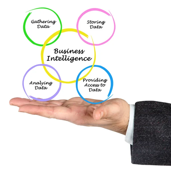 Schema della Business Intelligence — Foto Stock