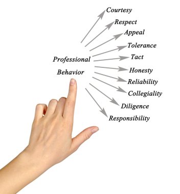 Diagram of Professional Behavior clipart