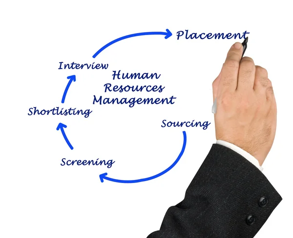 Diagrama de Gestión de Recursos Humanos —  Fotos de Stock