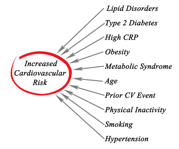 Diagram of  Increased Cardiovascular Risk — Stock Photo, Image