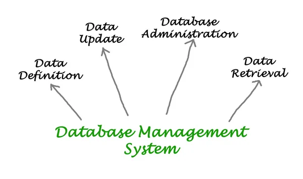 Διάγραμμα του συστήματος διαχείρισης βάσης δεδομένων — Φωτογραφία Αρχείου