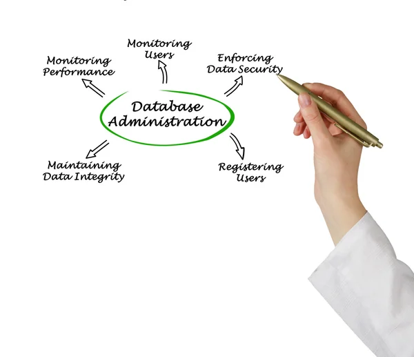 Diagram of Database Administration — Stock Photo, Image