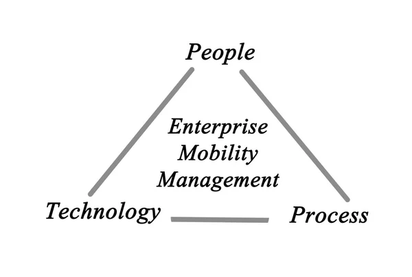 Diagramm des betrieblichen Mobilitätsmanagements — Stockfoto