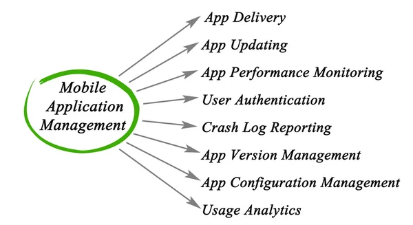 Mobil uygulama yönetim şeması — Stok fotoğraf