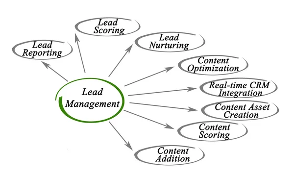 Diagramm des Lead Managements — Stockfoto