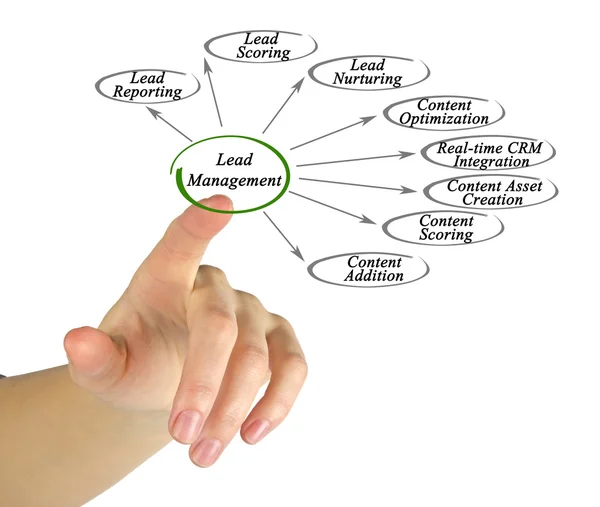 Diagram of Lead Management — Stock Photo, Image