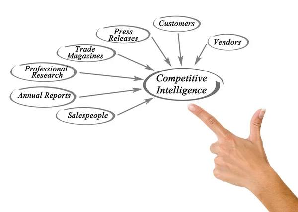 Schema di Intelligenza Competitiva — Foto Stock