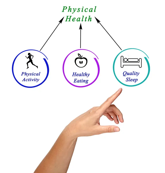 Diagram van de fysieke gezondheid — Stockfoto