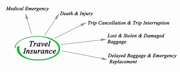 Diagrama del seguro de viaje —  Fotos de Stock