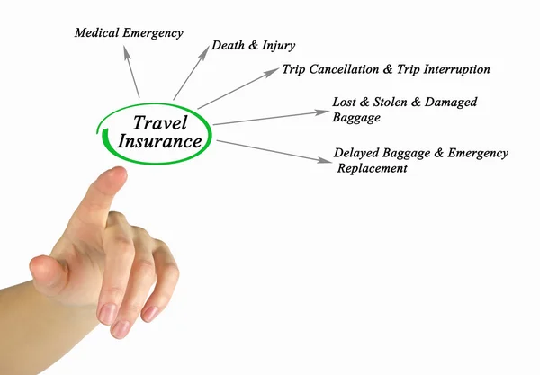 Diagrama de Seguro de Viagem — Fotografia de Stock