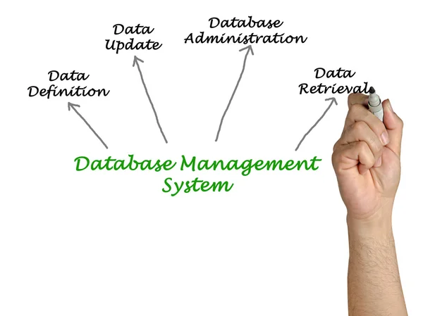 Diagrama del sistema de gestión de bases de datos —  Fotos de Stock