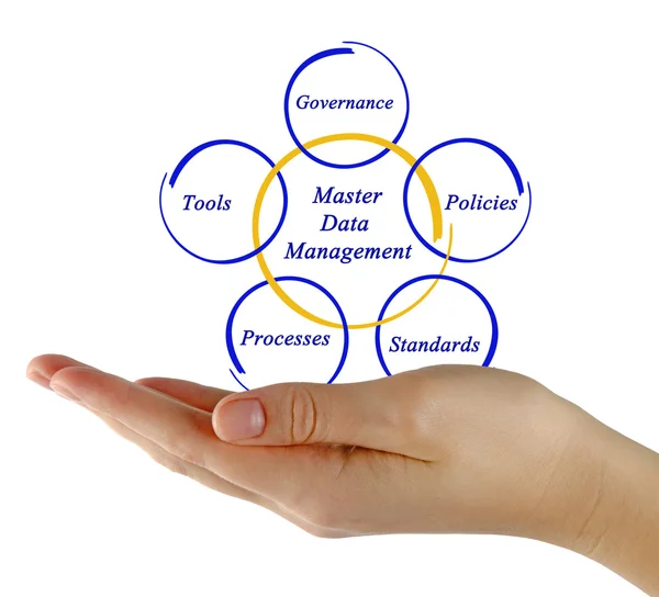 Diagram of  Master Data Management