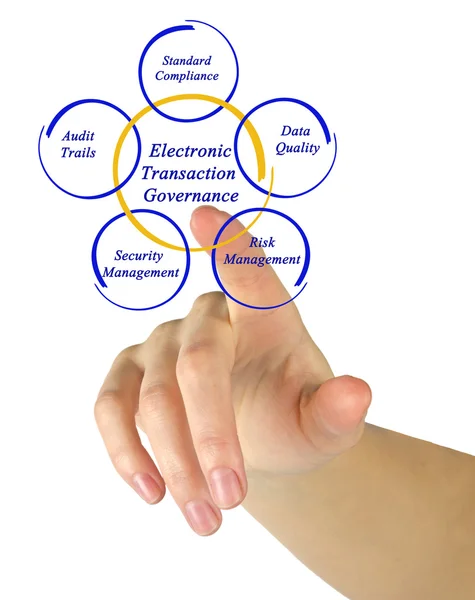 Diagrama de la gobernanza de las transacciones electrónicas —  Fotos de Stock