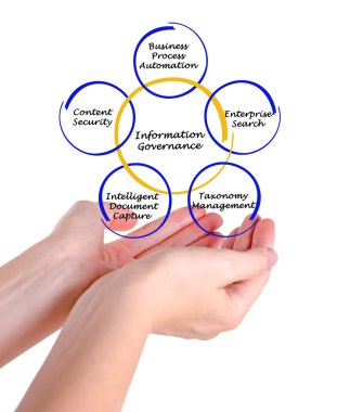 Bilgi yönetim şeması