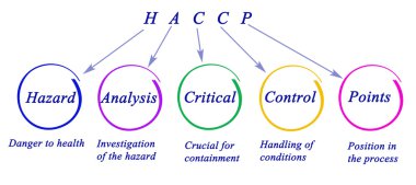 HACCP Düzenleme Gereksinimleri Diyagramı