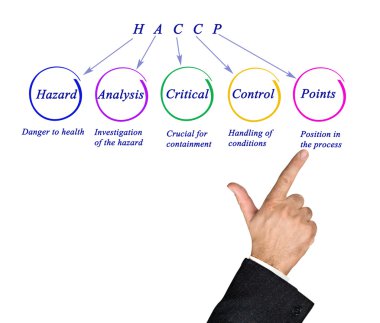 HACCP Düzenleme Gereksinimleri Diyagramı