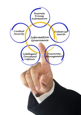 Bilgi yönetim şeması