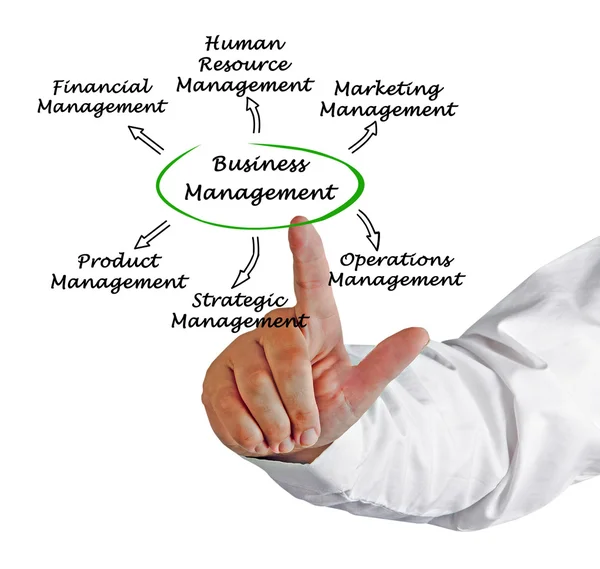 Diagram of Business Management — Stock Photo, Image
