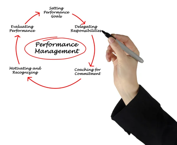 Diagrama de gestión del rendimiento — Foto de Stock